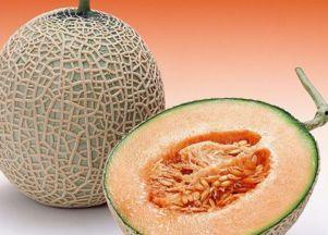 老鹰吃哈密瓜视频播放,一场惊心动魄的捕食瞬间