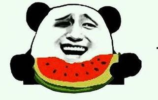 爆笑吃瓜菌理发店视频大全