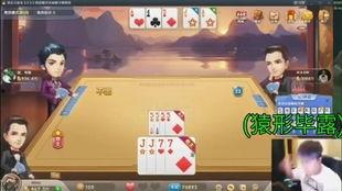 老将吃瓜直播斗地主视频,瓜田笑谈，牌技与智慧的较量