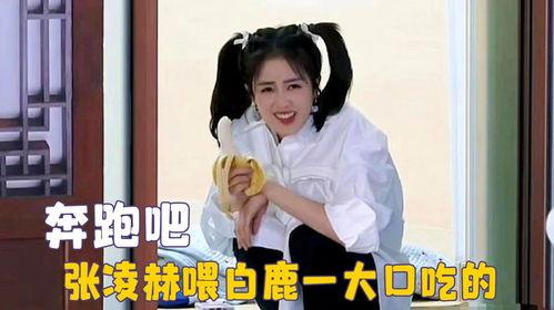 白鹿吃瓜现场视频全集,全程揭秘娱乐圈幕后风云