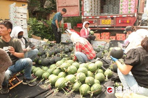 昌乐吃瓜事件视频曝光最新,真相揭晓，网友热议不断