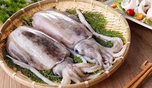 乌贼吃瓜视频完整版,揭秘视频背后的趣味与真相