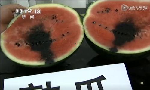 吃瓜视频材料,娱乐圈幕后真相大曝光