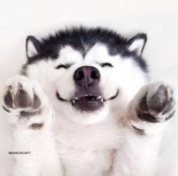 吃瓜视频爆笑全集,笑料横生，欢乐无限