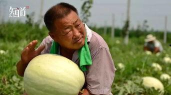 邢台最新吃瓜事件视频