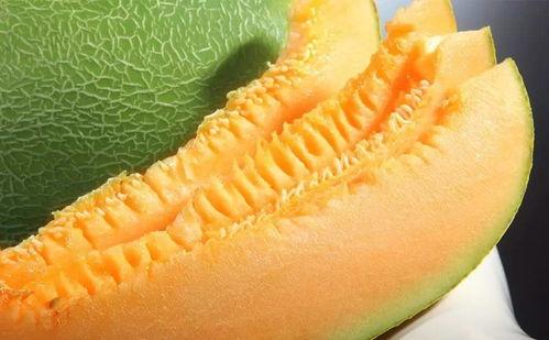 东方蜜瓜吃货视频大全,吃货视频大全精选回顾