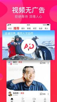 吃瓜快进视频下载免费观看,吃瓜快进视频免费下载，畅享无广告观看体验