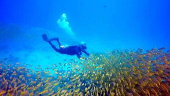 吃瓜群众潜水视频大全,一场视觉盛宴的深度探索