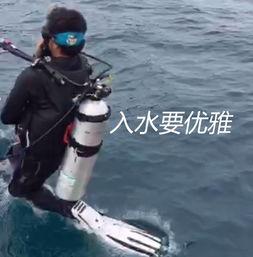 吃瓜群众潜水视频大全,一场视觉盛宴的深度探索