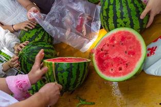 刷吃瓜视频,揭秘热门视频背后的娱乐真相