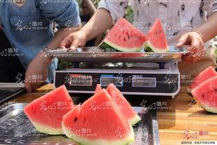 宿州比赛吃瓜视频,这瓜怎么这么香？