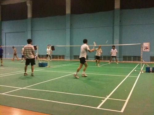 吃瓜打羽毛球两个球视频,双球视频中的趣味羽毛球时光