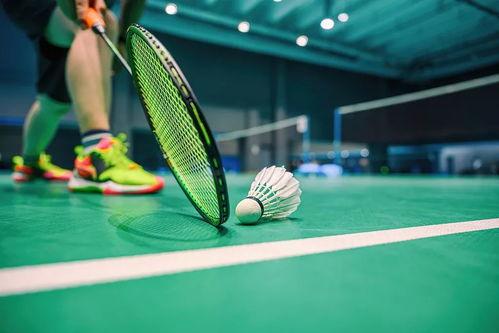 吃瓜打羽毛球两个球视频,双球视频中的趣味羽毛球时光