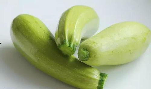 天津茭瓜怎么吃最好吃视频,天津茭瓜的多样美味吃法揭秘