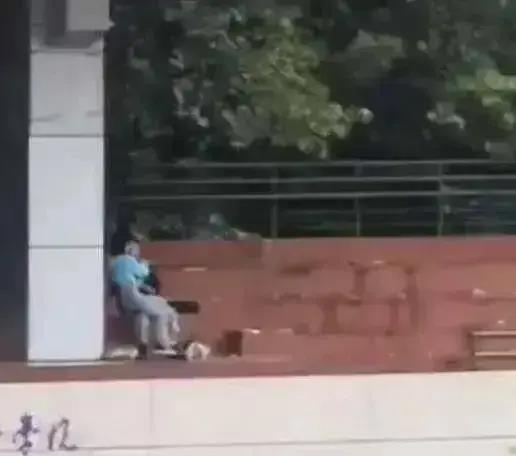 青年大学习吃瓜视频,一场青春风采的盛宴