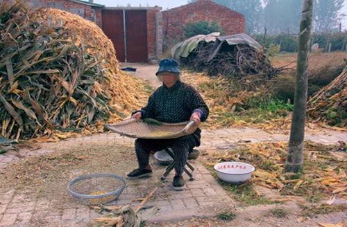 农村吃瓜老奶奶视频大全,温馨瞬间大盘点