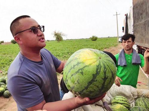 广河吃瓜新闻最新消息视频,最新视频揭秘事件真相