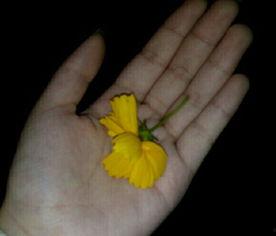 夏至吃瓜群众视频大全,吃瓜群众视频大全欢乐集结