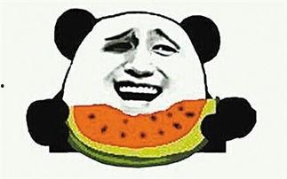 夏至吃瓜群众视频大全,吃瓜群众视频大全欢乐集结