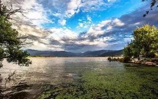 邛海17c吃瓜视频,揭秘网红美食背后的故事