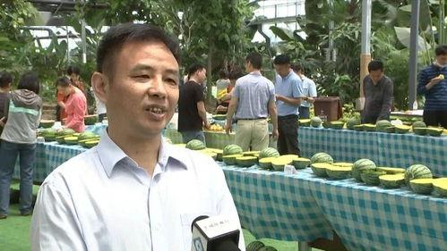 吃瓜群众李铁柱视频,揭秘娱乐圈幕后真相