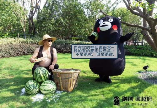 浙江平湖吃瓜事件视频最新,一场网络热议背后的真相揭秘