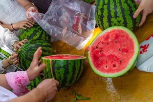 宁波鄞州吃瓜视频,揭秘当地特色美食风情