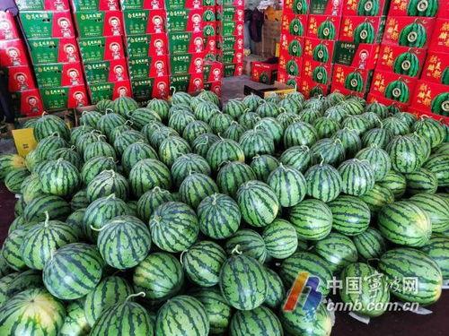 宁波鄞州吃瓜视频,揭秘当地特色美食风情