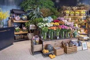 临海花店老板吃瓜视频播放,揭秘瓜界风云