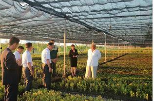 考察苗圃吃瓜视频,揭秘娱乐圈幕后趣闻