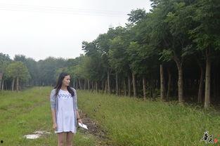 考察苗圃吃瓜视频,揭秘娱乐圈幕后趣闻